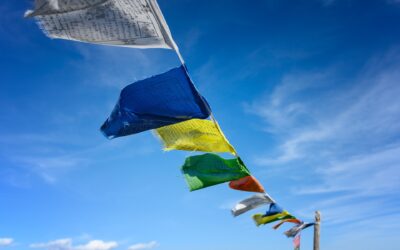 Lochner entthront Friedrich auch im Viererbob